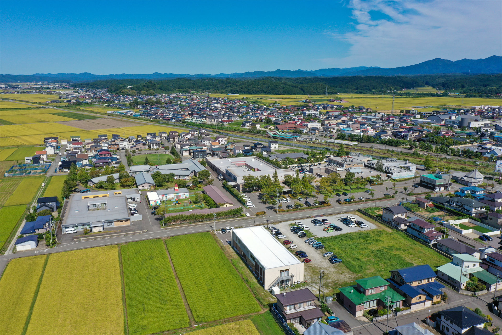 写真：法人基本情報